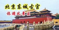 大鸡日小穴视频中国北京-东城古宫旅游风景区